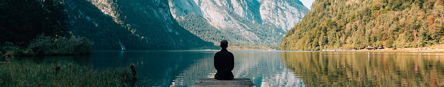 ALL CREATURES GREAT AND SMALL