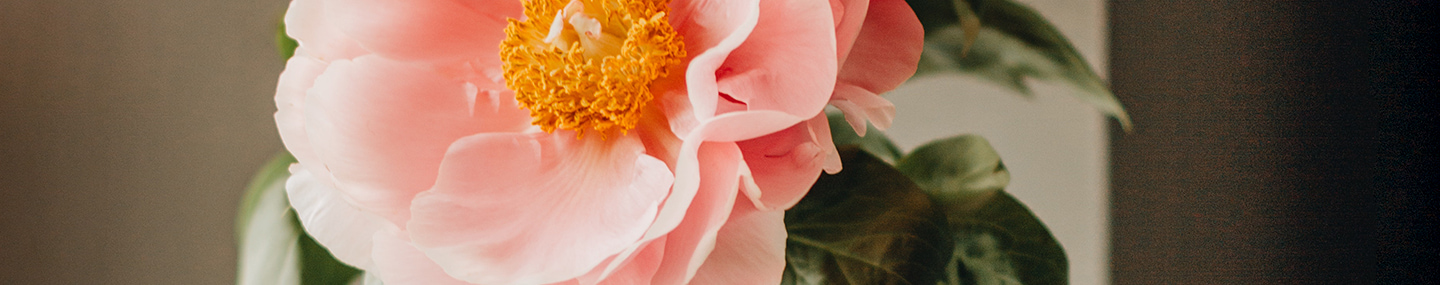 ALWAYS WORTH SHARING