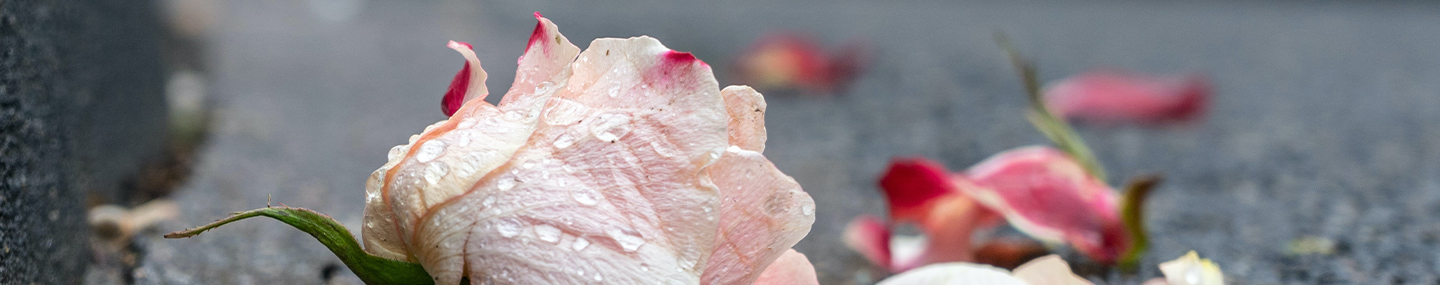 BLESSING IN THE TEARS