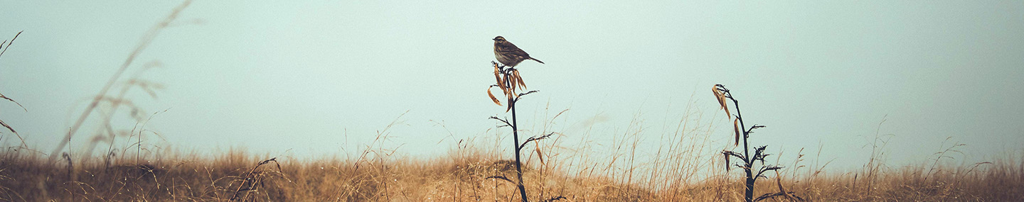 CLINGING TO WHAT'S GOOD