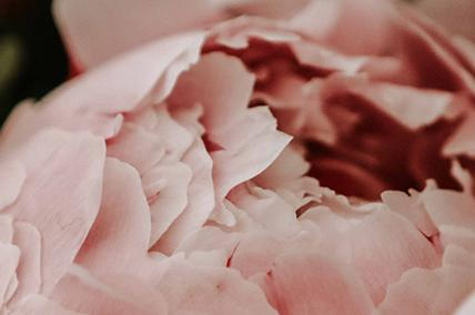 DIVINE TENDERNESS