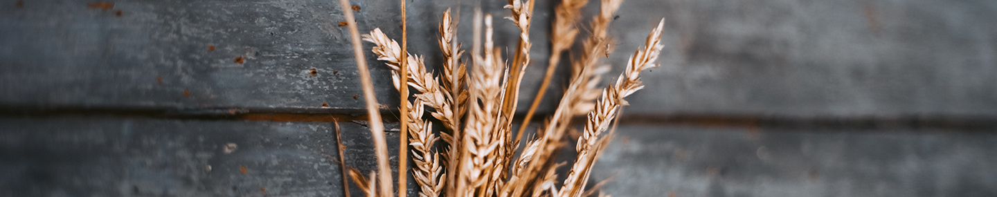 FAST-FOOD ENCOURAGEMENT