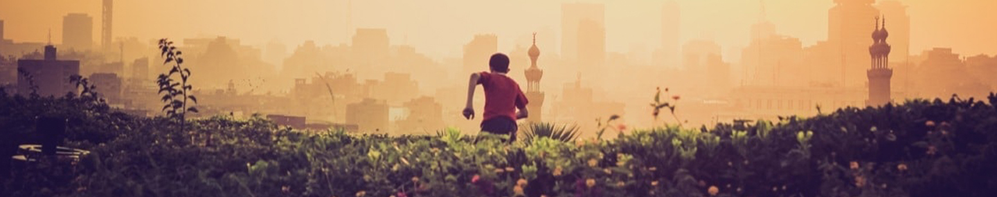 FLEEING FROM TURKEYS