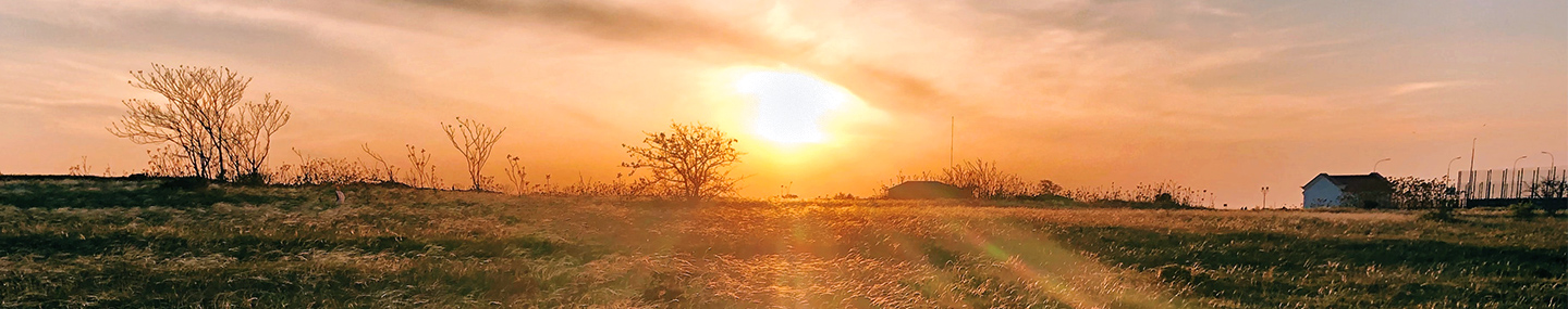 FROLICKING IN FREEDOM 