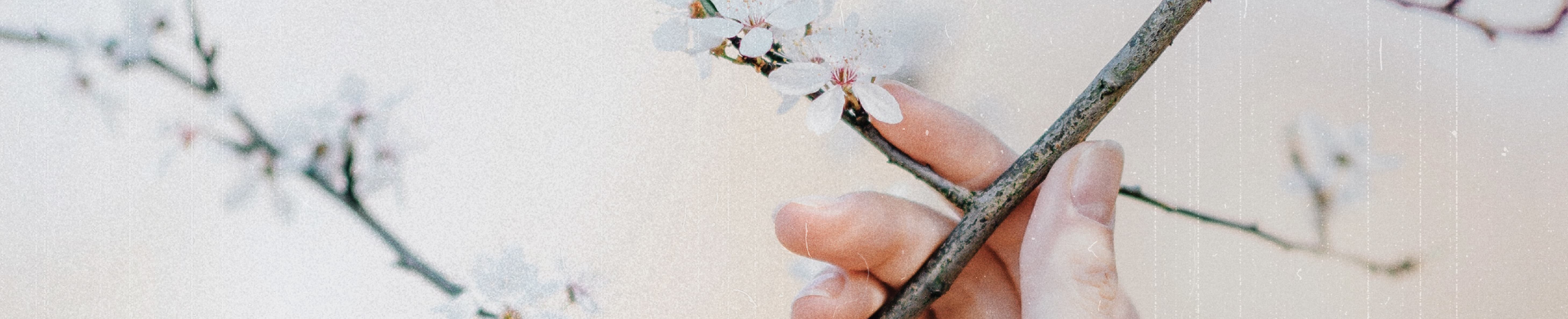 FRUITFUL BELIEVERS IN CHRIST