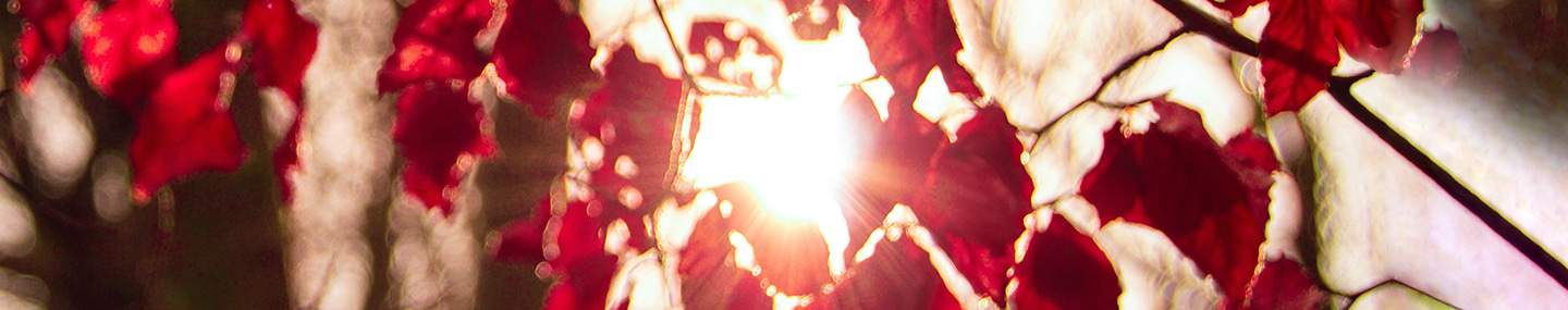 GOD CLEANS THE STAINS