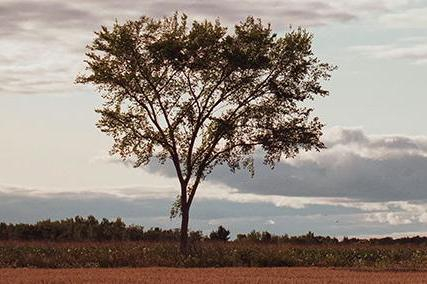 GOD IS MORE THAN ENOUGH