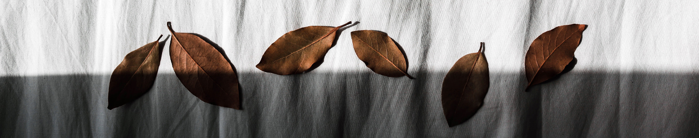 GOD'S COMFORTING COMMITMENT