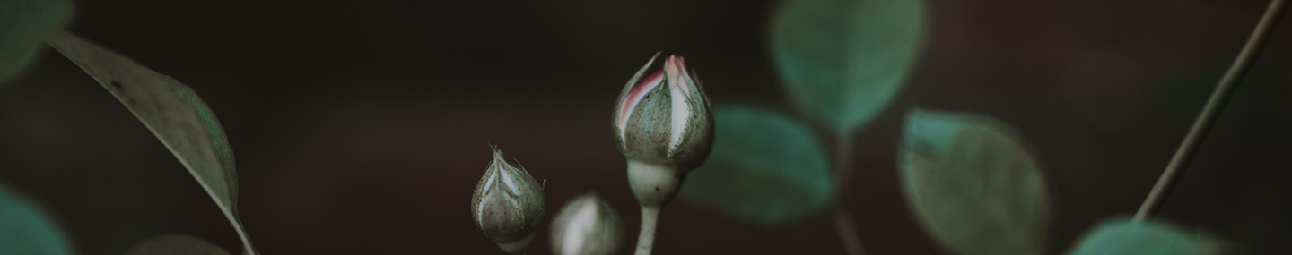 GOD'S UNEXPECTED WAYS