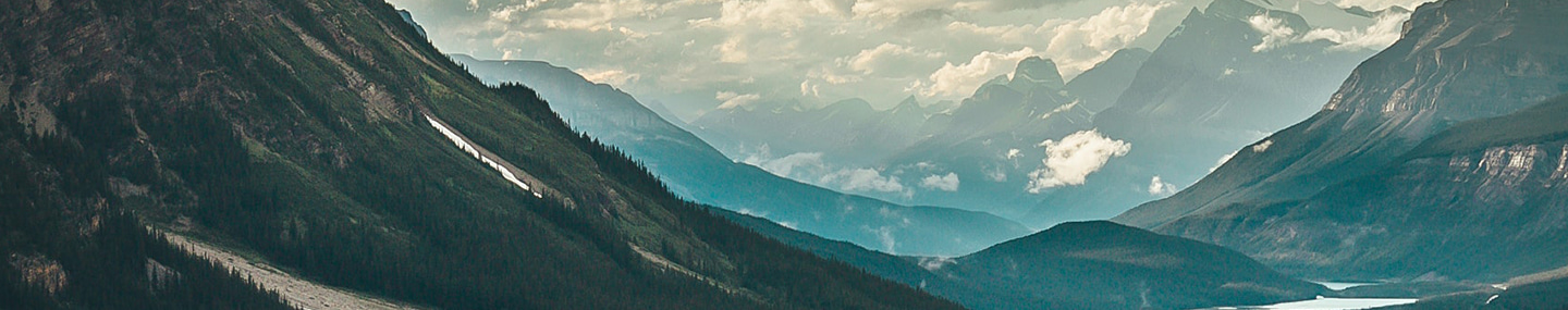 GRATITUDE ON EARTH DAY