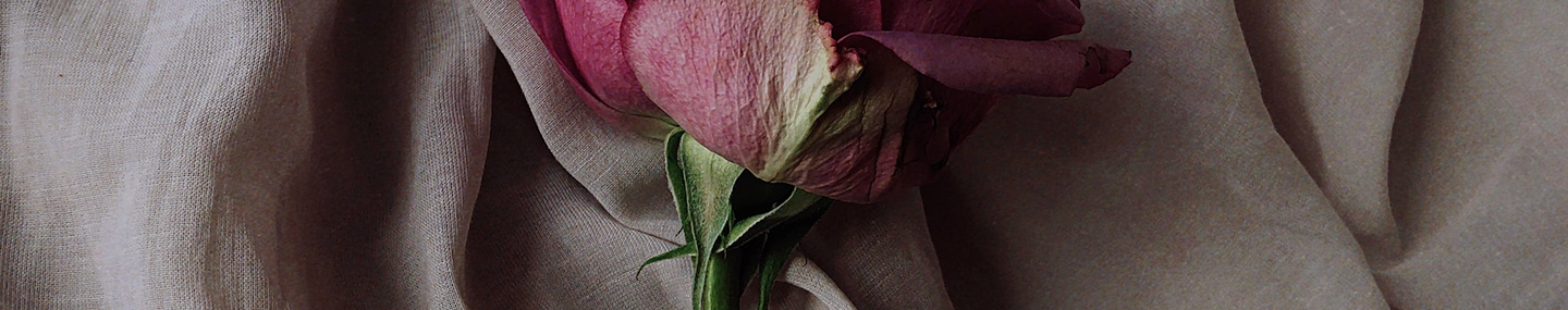 MORTALITY AND HUMILITY