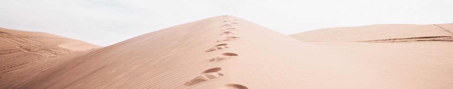 PAST THE BOUNDARIES OF KNOWING