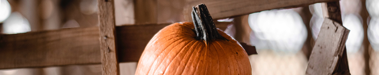 REDEEMING THE SEASON