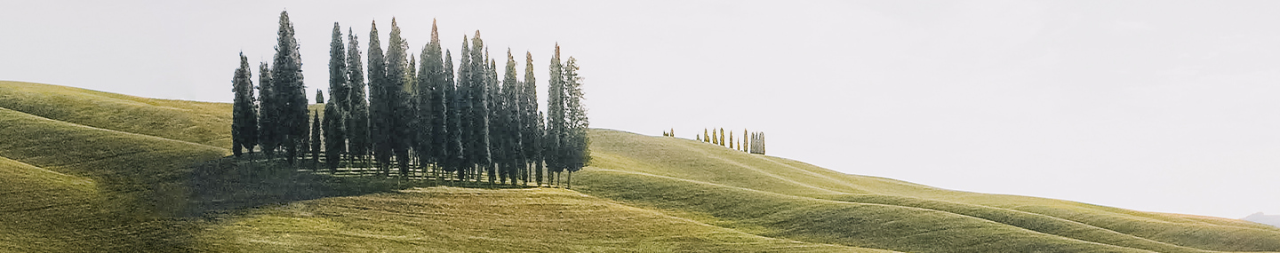 REVELATION AND REASSURANCE