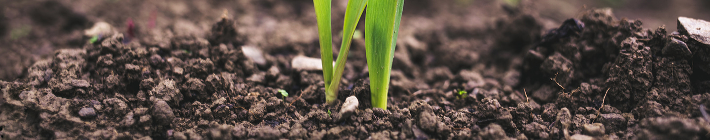 SELF-CONTROL IN GOD'S STRENGTH