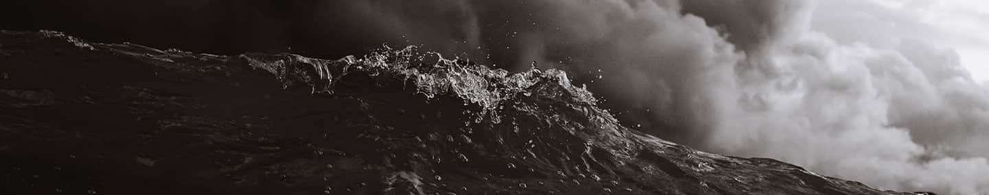 THE FORECASTER'S MISTAKE