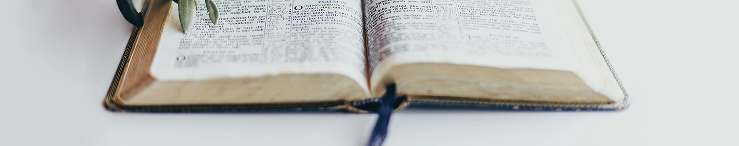 THE POWER OF THE GOSPEL