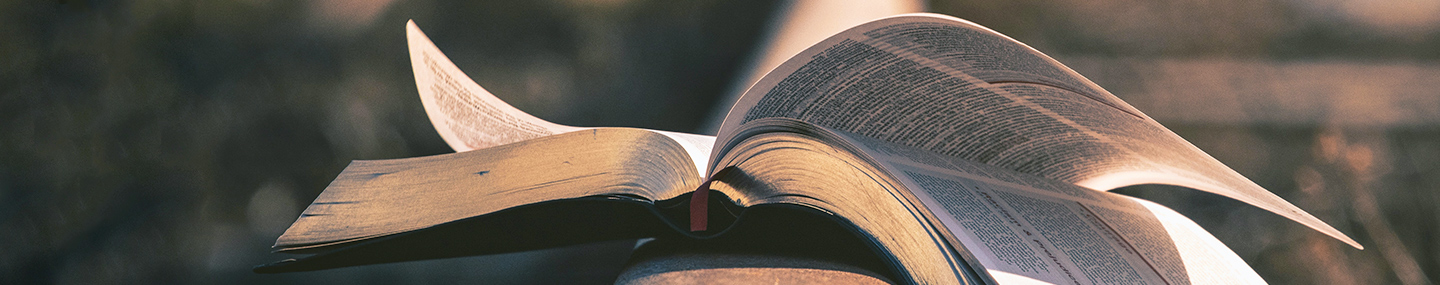 THE WORD AND A NEW YEAR