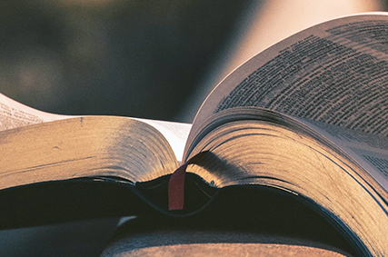 THE WORD AND A NEW YEAR