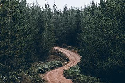 TACKLING INDECISION