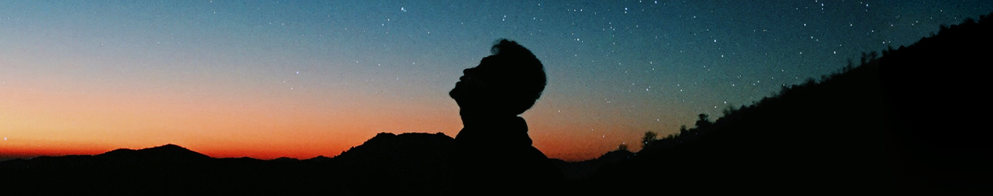 THE CHALLENGE OF THE STARS