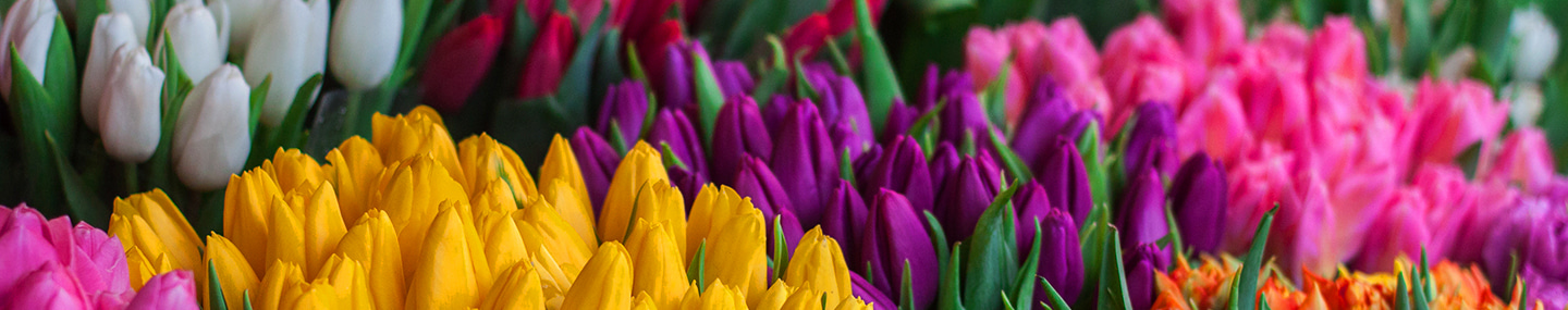 THE MARRIAGE METAPHOR