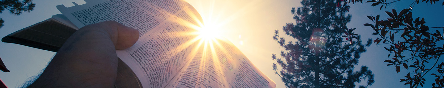 THE POWER OF SCRIPTURE