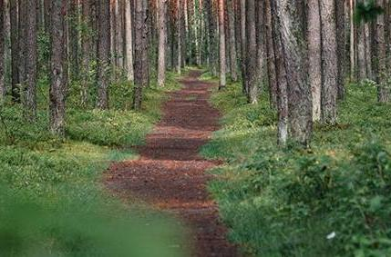 UNKNOWN ROUTE