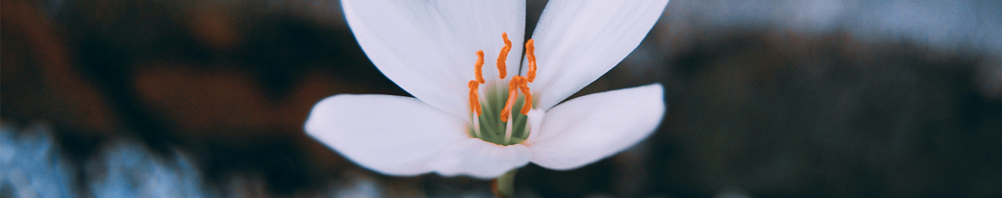 WHEN YOU CAN'T GO ON