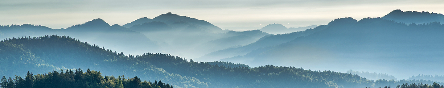 WITH US IN THE VALLEY