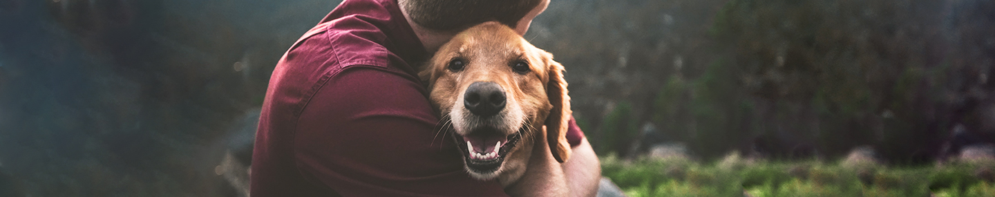 WAGGING TAILS AND TONGUES