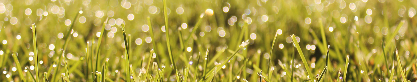 WATERS OF ENCOURAGEMENT