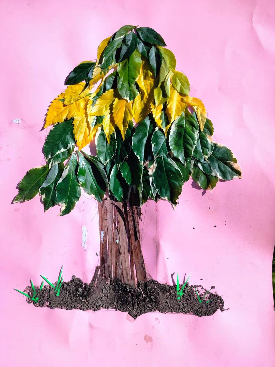 Competency-Based Curriculum (CBC)