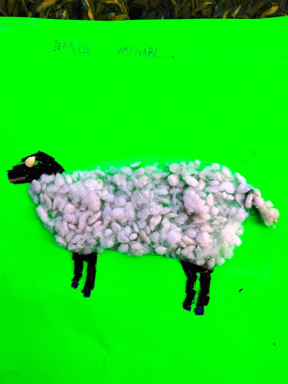 Competency-Based Curriculum (CBC)