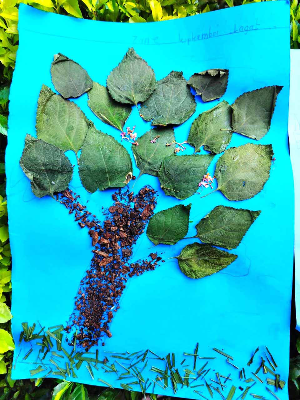 Competency-Based Curriculum (CBC)