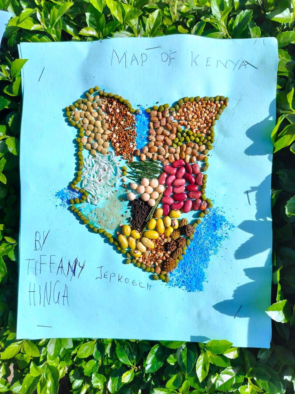 Competency-Based Curriculum (CBC)