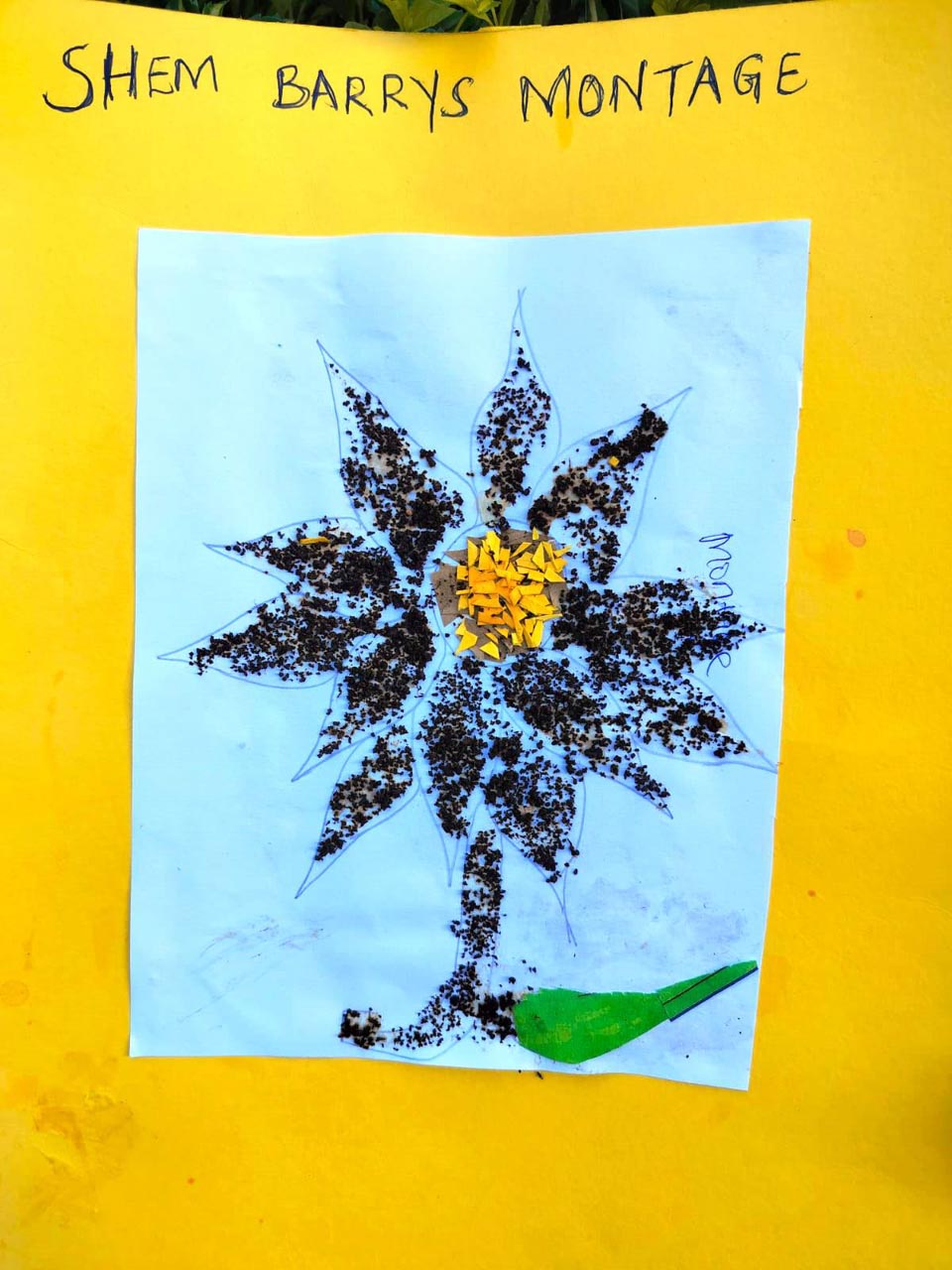 Competency-Based Curriculum (CBC)