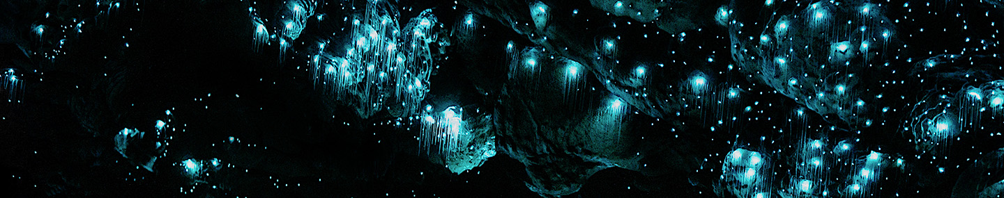 A THOUSAND DOTS OF LIGHT