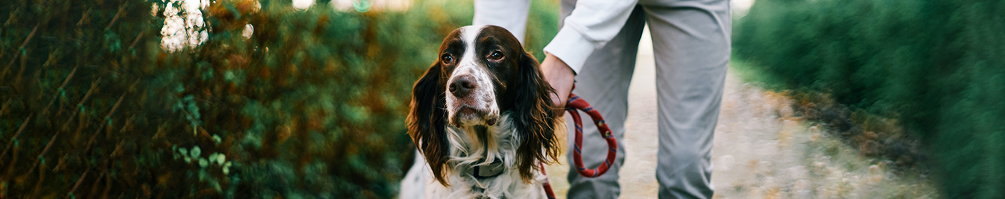 DOING SOMETHING RIGHT