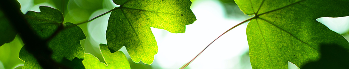 EXTRA GRACE REQUIRED