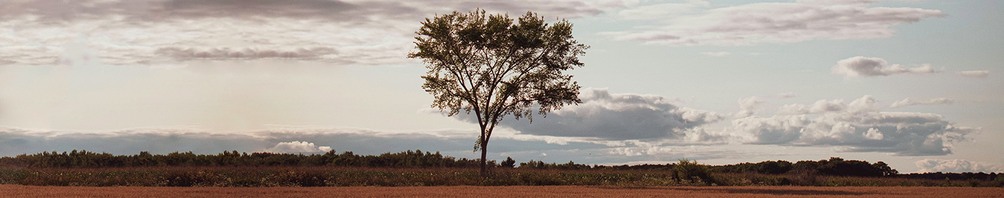 GOD IS MORE THAN ENOUGH