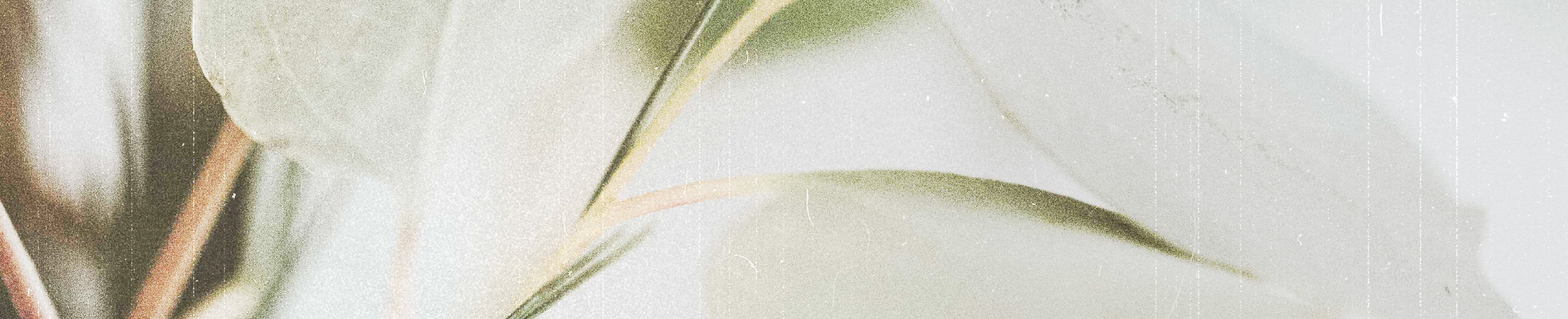 GOD'S PROTECTIVE LOVE