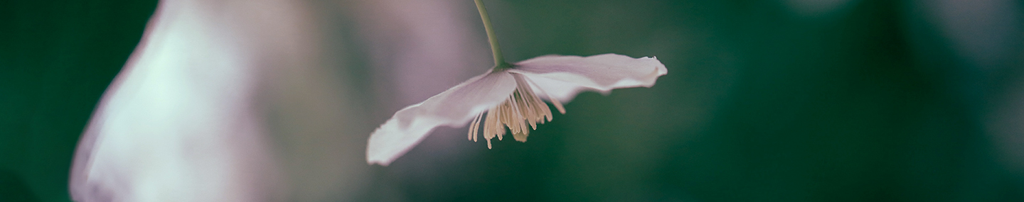 GOOD TROUBLE FOR GOD