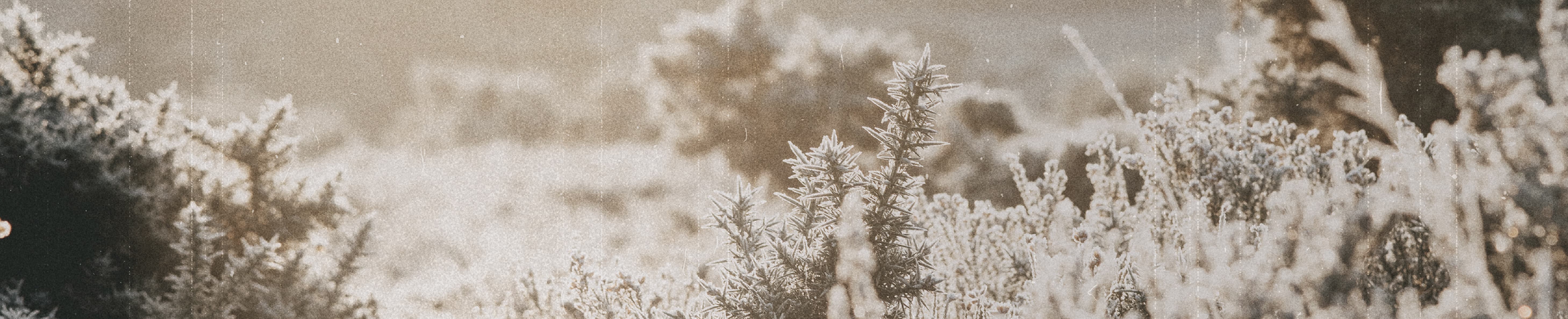 I'VE SEEN GOD'S FAITHFULNESS