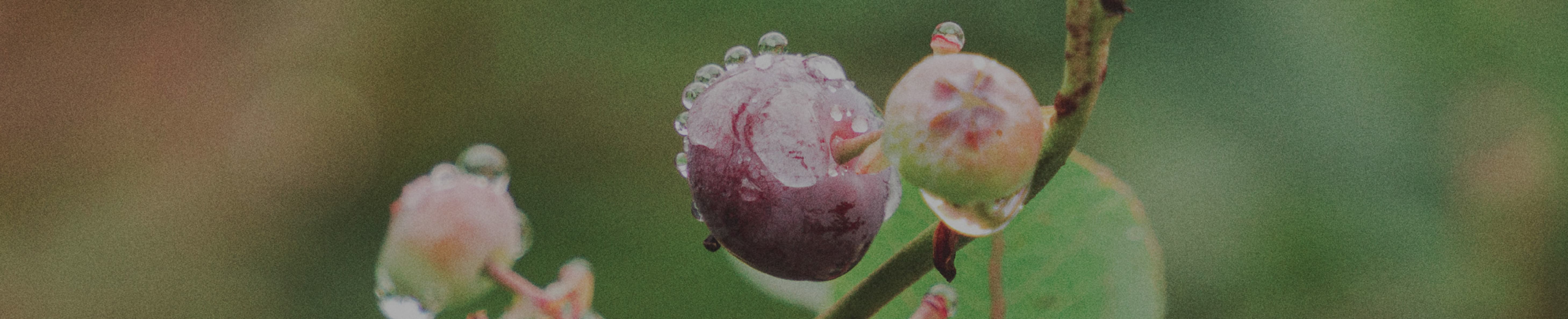 KEEPING OUR SPIRITUAL EDGE