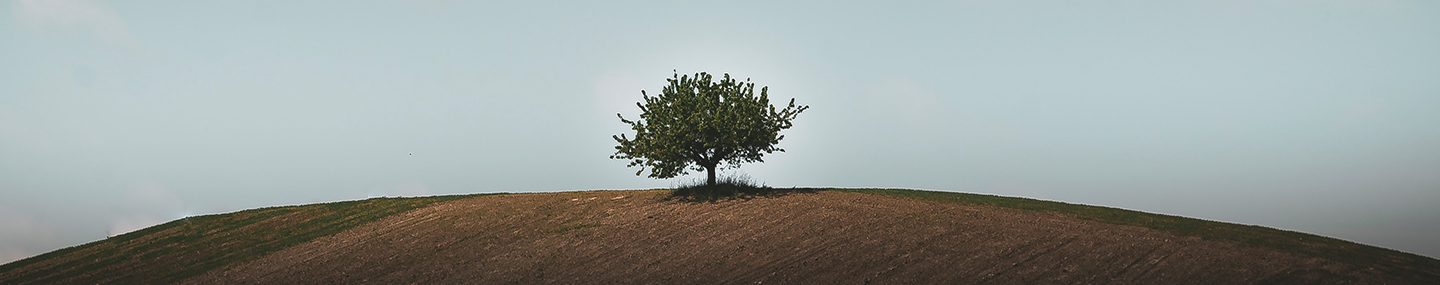 LONELY, BUT NOT FORGOTTEN