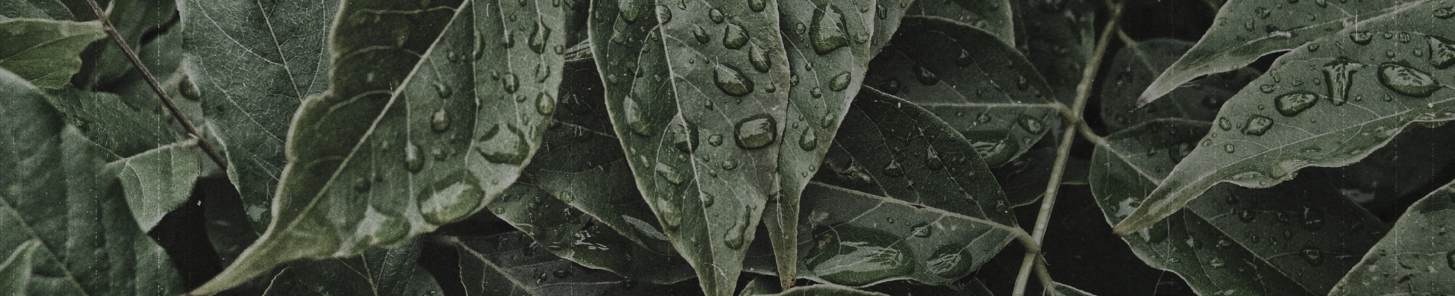 LOVE BEYOND COUNTING