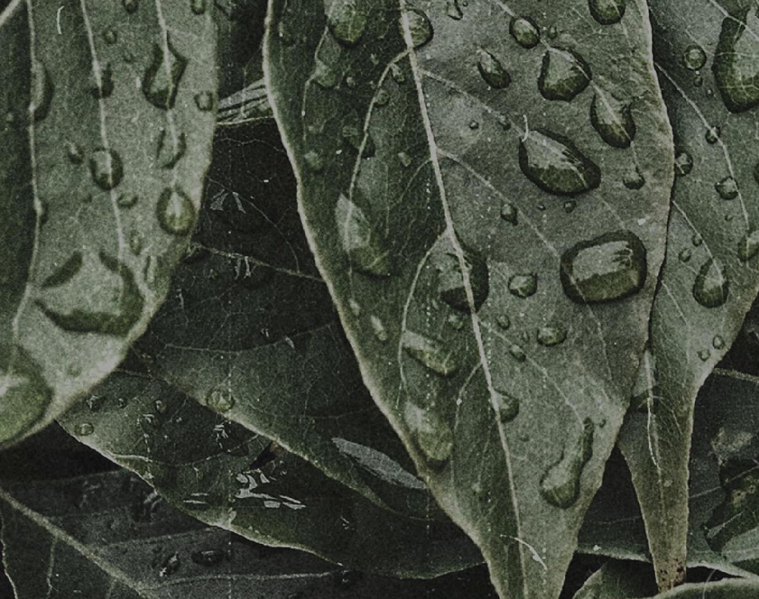 LOVE BEYOND COUNTING