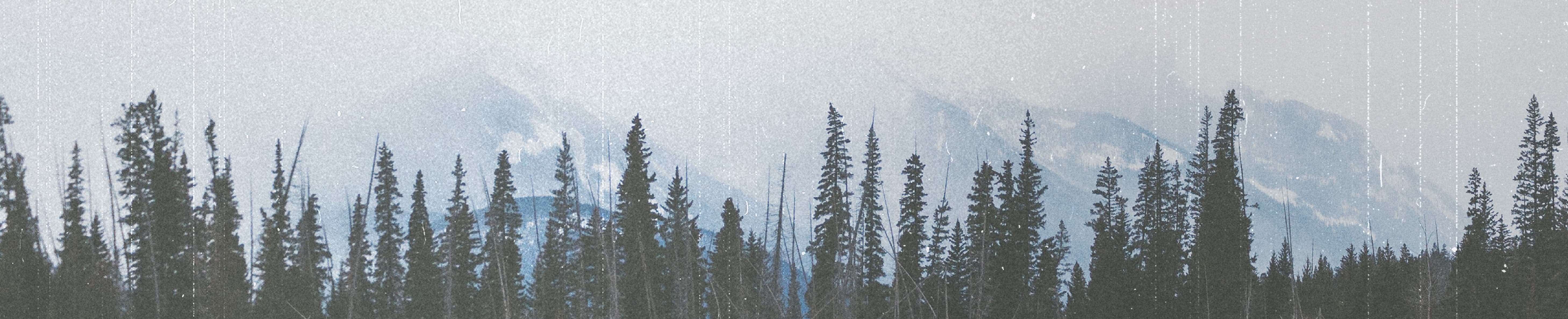 NOT LUCK, BUT CHRIST