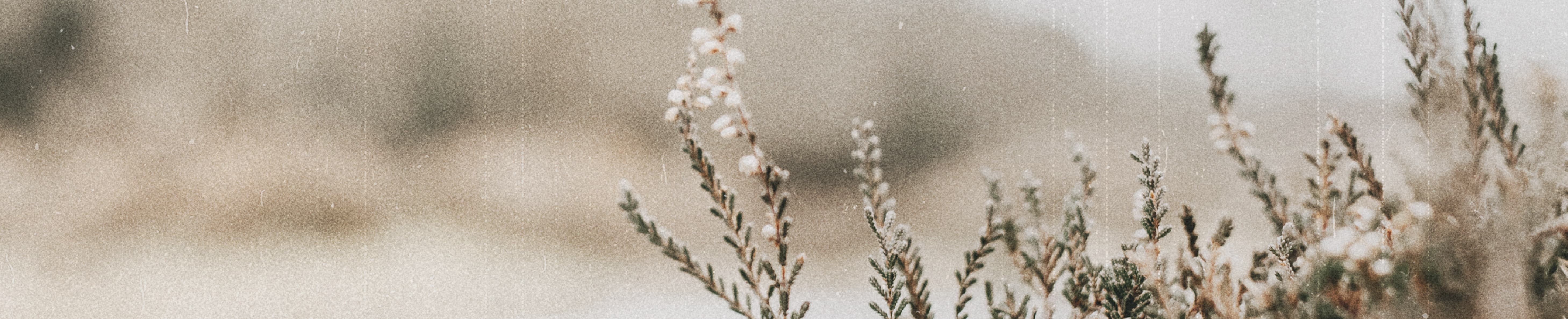 QUIET FAITHFULNESS IN CHRIST